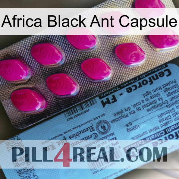 Africa Black Ant Capsule 35.jpg